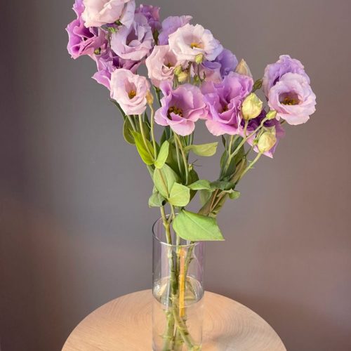 Эустома сиреневая